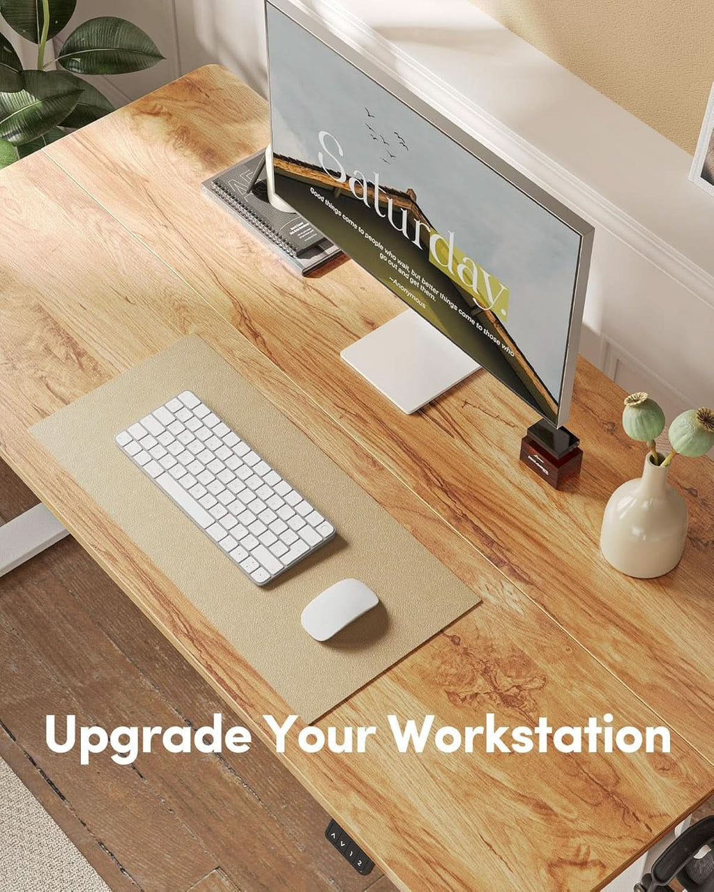 55" Electric Standing Desk for Home Office & Remote Work